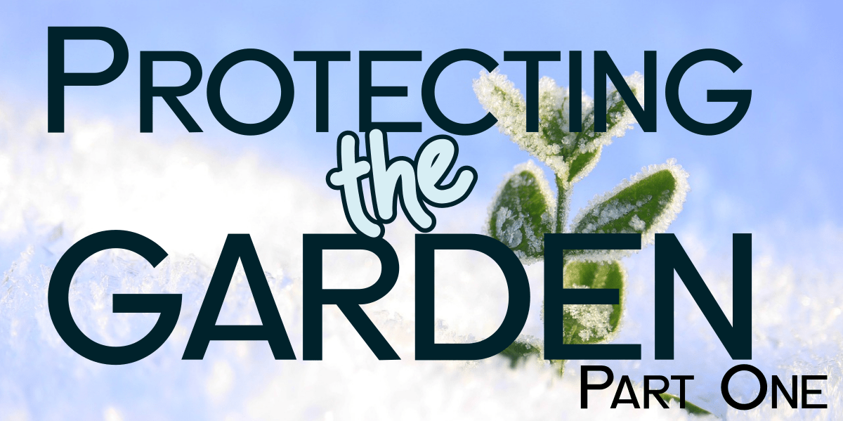 Protecting the Garden: Part One - Provident Home Companion