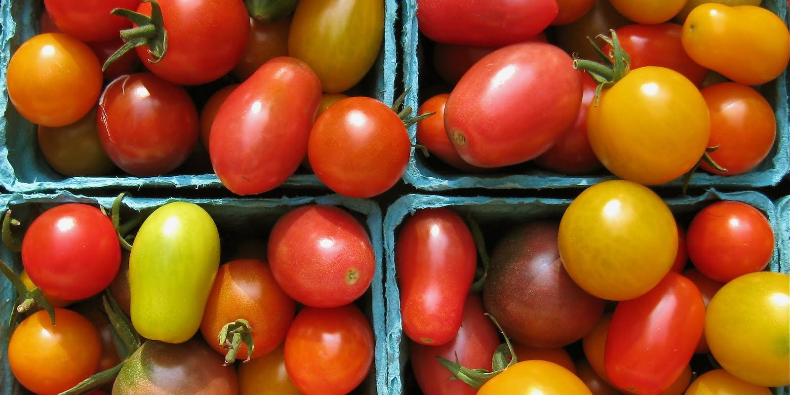 cherry tomatoes