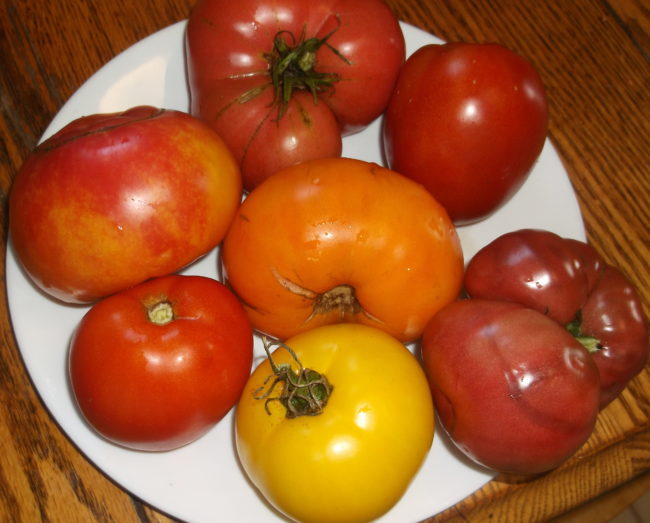 DSCF3332
