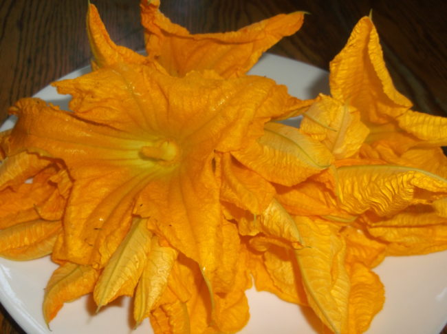 squash blossoms squash blossoms
