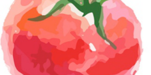 tomato