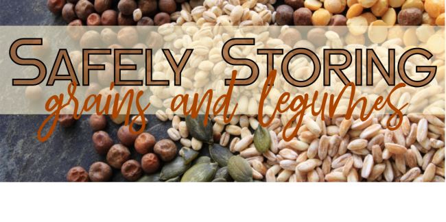 Safely-store-grains