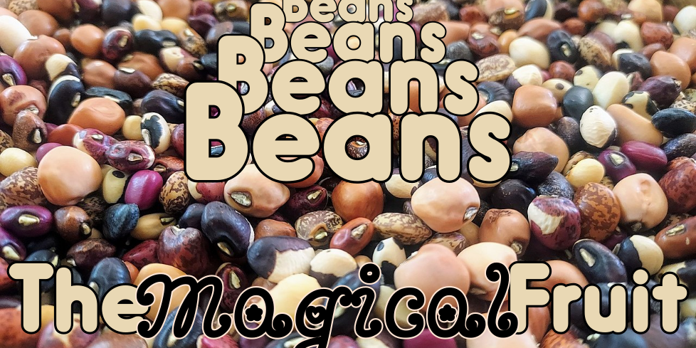 beans-the-magical-fruit beans the magical fruit