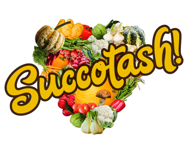 Succotash banner