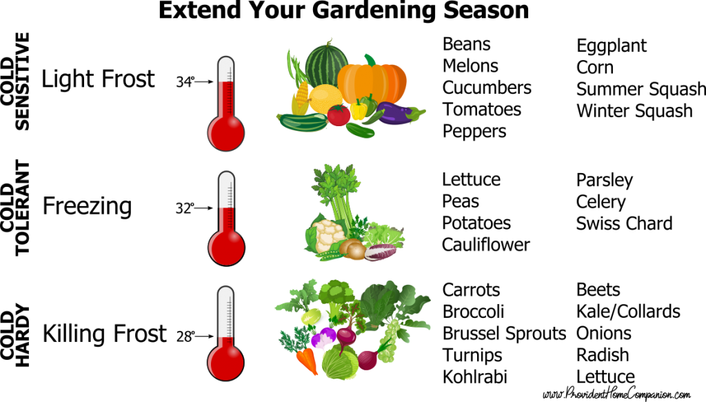 Extend your Gardening Season - Provident Home Companion